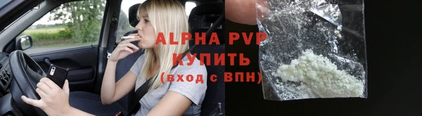 PSILOCYBIN Аркадак
