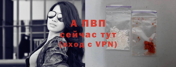 PSILOCYBIN Аркадак