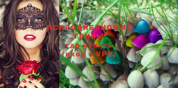 PSILOCYBIN Аркадак