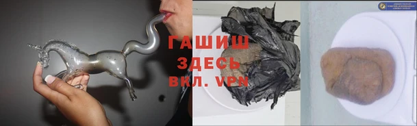 стаф Нефтегорск