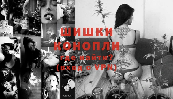PSILOCYBIN Аркадак