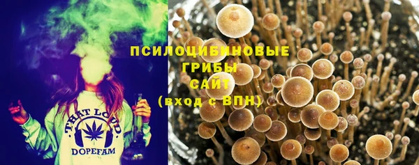 меф Армянск