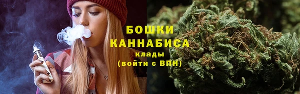PSILOCYBIN Аркадак